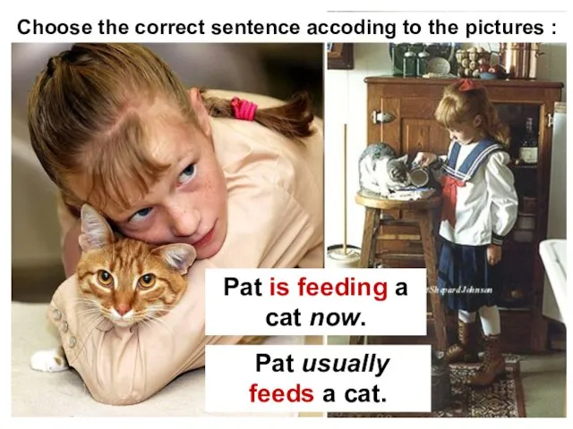 Pat is feeding a cat now. Pat usually feeds a cat.