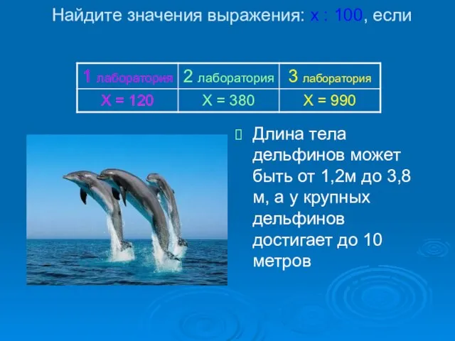 Найдите значения выражения: х : 100, если Длина тела дельфинов может