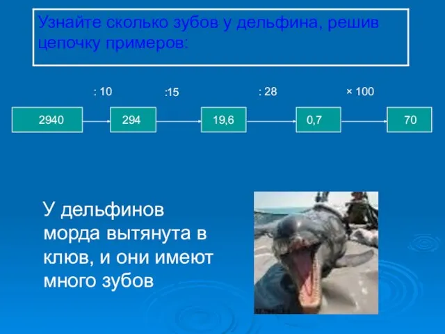 У дельфинов морда вытянута в клюв, и они имеют много зубов