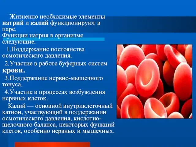 Жизненно необходимые элементы натрий и калий функционируют в паре. Функции натрия