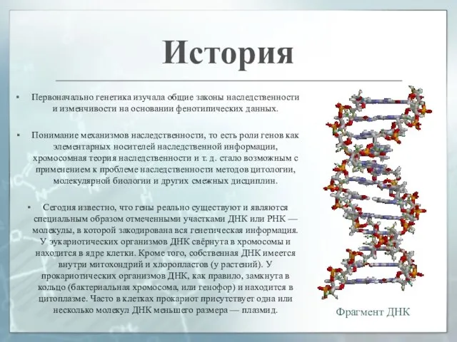 Первоначально генетика изучала общие законы наследственности и изменчивости на основании фенотипических