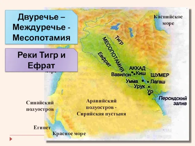 Двуречье – Междуречье - Месопотамия Аравийский полуостров - Сирийская пустыня Средиземное