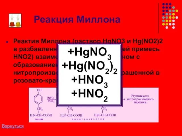 Реакция Миллона Реактив Миллона (раствор HgNO3 и Hg(NO2)2 в разбавленной HNO3,