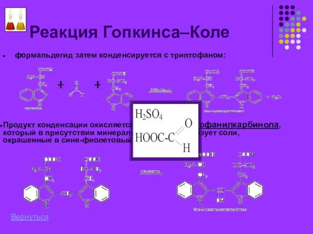 Реакция Гопкинса–Коле формальдегид затем конденсируется с триптофаном: Продукт конденсации окисляется до