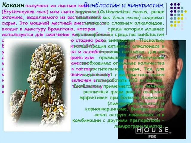 Кокаин получают из листьев коки (Erythroxylum coca) или синтезируют из экгонина,