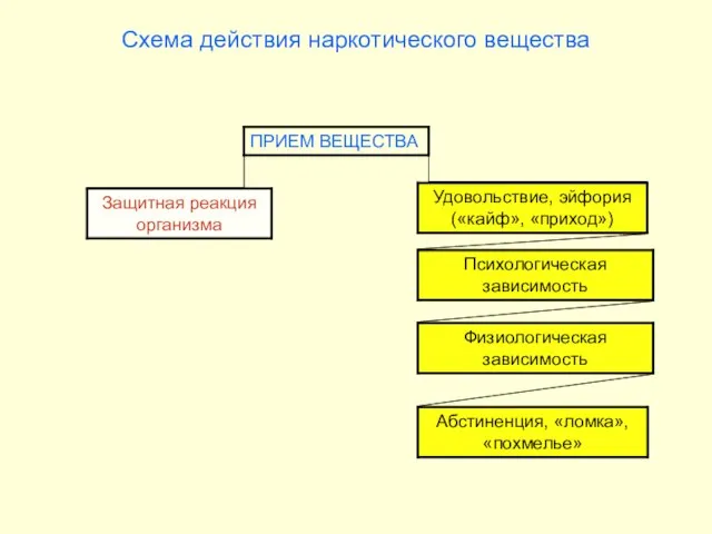 Схема действия наркотического вещества