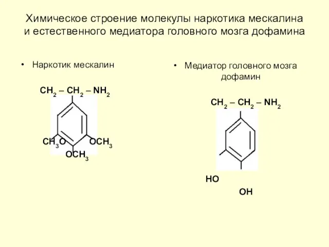 Химическое строение молекулы наркотика мескалина и естественного медиатора головного мозга дофамина