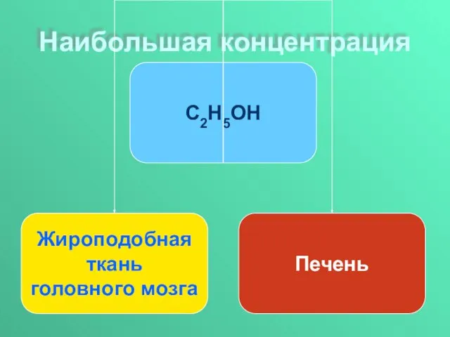 Наибольшая концентрация