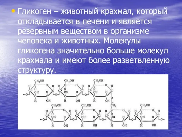 Гликоген – животный крахмал, который откладывается в печени и является резервным