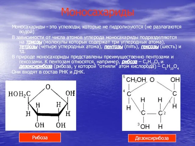 Моносахариды Моносахариды - это углеводы, которые не гидролизуются (не разлагаются водой)