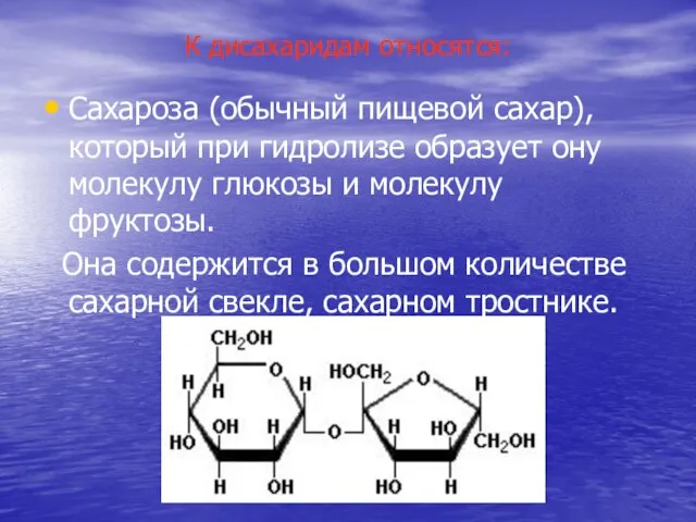 К дисахаридам относятся: Сахароза (обычный пищевой сахар), который при гидролизе образует