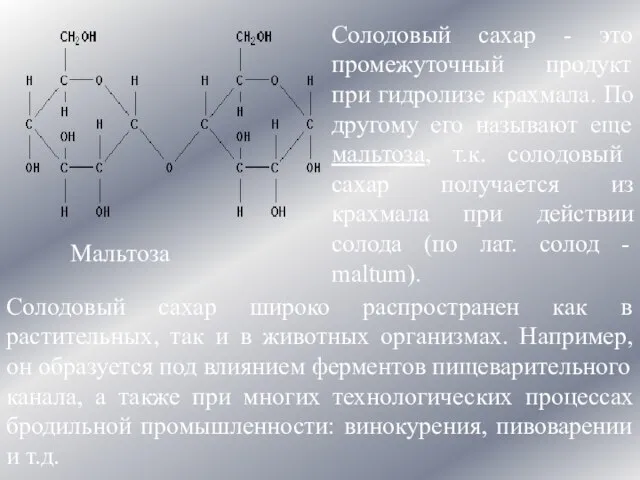 Мальтоза Солодовый сахар - это промежуточный продукт при гидролизе крахмала. По