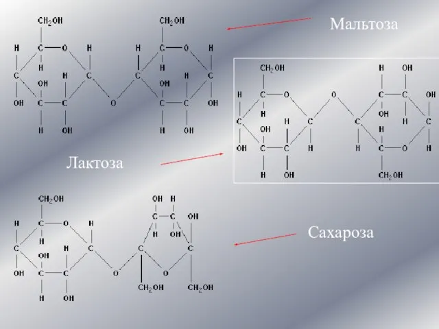 Мальтоза Лактоза Сахароза