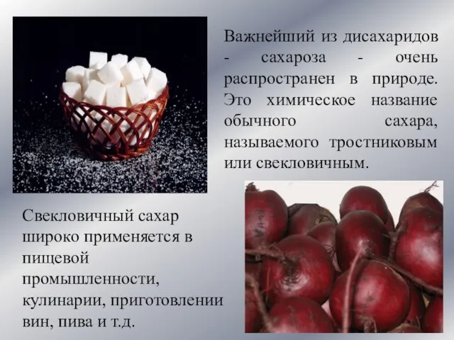 Важнейший из дисахаридов - сахароза - очень распространен в природе. Это