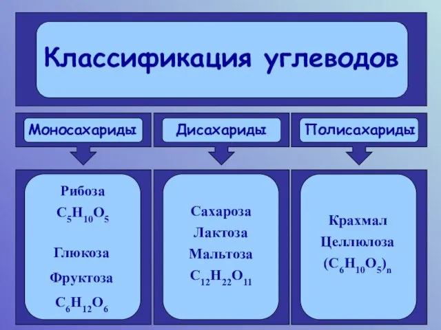 Моносахариды Дисахариды Полисахариды Рибоза С5Н10О5 Глюкоза Фруктоза С6Н12О6 Сахароза Лактоза Мальтоза С12Н22О11 Крахмал Целлюлоза (С6Н10О5)n
