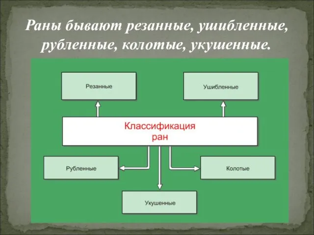 Раны бывают резанные, ушибленные, рубленные, колотые, укушенные.