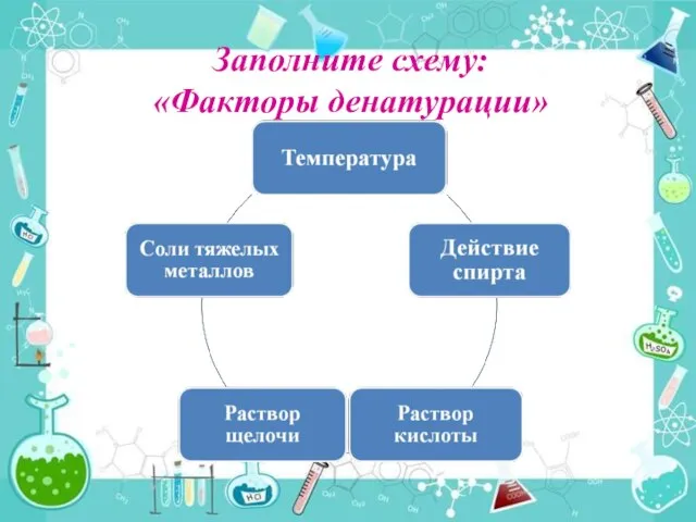 Заполните схему: «Факторы денатурации»