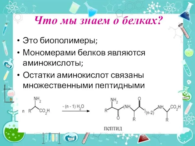 Что мы знаем о белках? Это биополимеры; Мономерами белков являются аминокислоты;