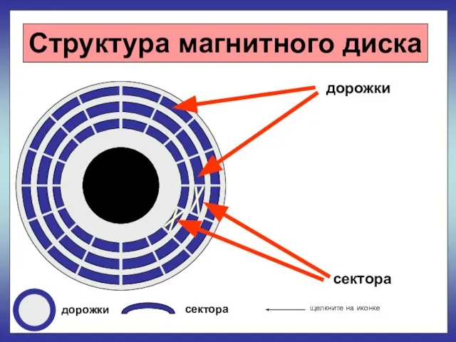 Структура магнитного диска дорожки сектора