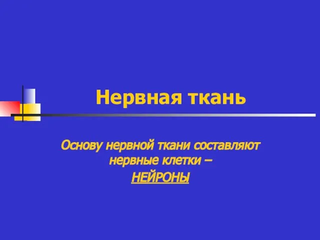 Нервная ткань Основу нервной ткани составляют нервные клетки – НЕЙРОНЫ