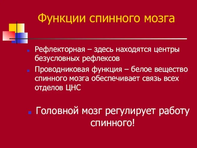 Функции спинного мозга Рефлекторная – здесь находятся центры безусловных рефлексов Проводниковая