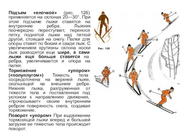 Подъем «елочкой» (рис. 126) применяется на склонах 20—30°. При этом подъеме