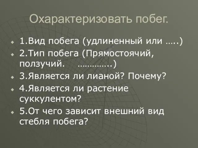 Охарактеризовать побег. 1.Вид побега (удлиненный или …..) 2.Тип побега (Прямостоячий, ползучий.