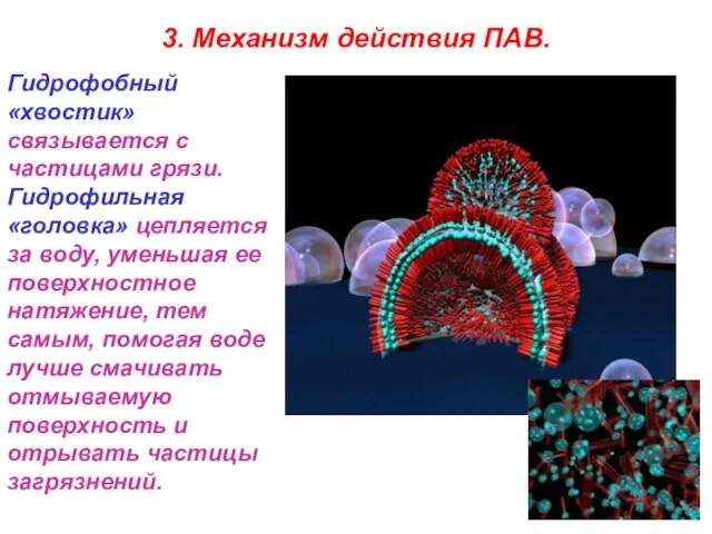 3. Механизм действия ПАВ. Гидрофобный «хвостик» связывается с частицами грязи. Гидрофильная