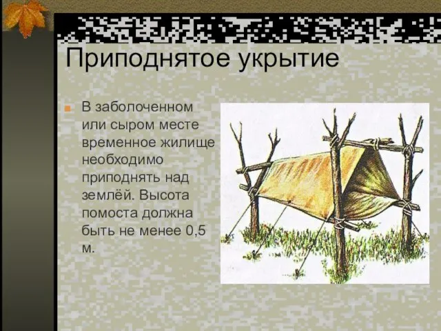 Приподнятое укрытие В заболоченном или сыром месте временное жилище необходимо приподнять