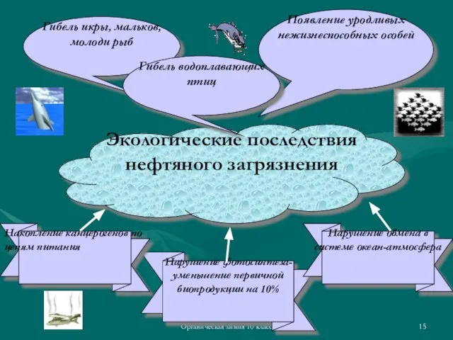 Органическая химия 10 класс Гибель икры, мальков, молоди рыб Экологические последствия