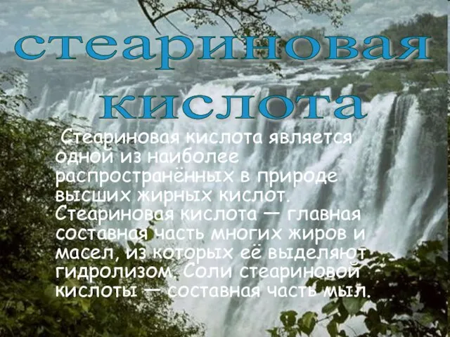 Стеариновая кислота является одной из наиболее распространённых в природе высших жирных