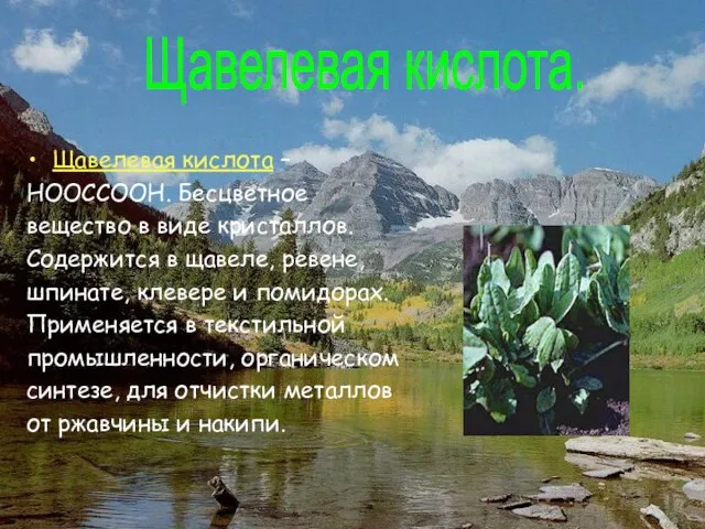 Щавелевая кислота – НООССООН. Бесцветное вещество в виде кристаллов. Содержится в