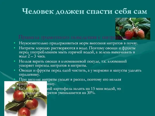 Человек должен спасти себя сам Правила грамотного поведения с нитратами: Неукоснительно