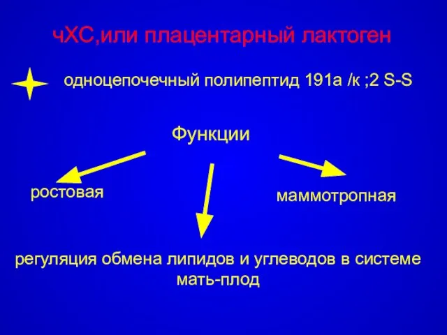 чХС,или плацентарный лактоген ростовая Функции регуляция обмена липидов и углеводов в системе мать-плод маммотропная