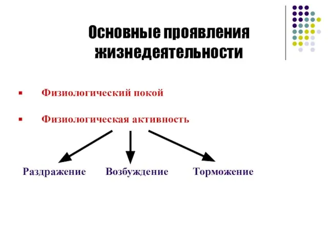 Основные проявления жизнедеятельности Физиологический покой Физиологическая активность Раздражение Возбуждение Торможение