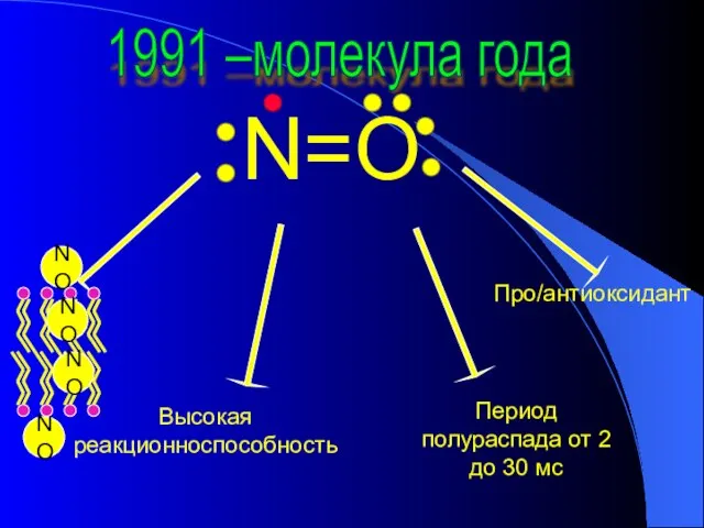 N=O Высокая реакционноспособность Период полураспада от 2 до 30 мс Про/антиоксидант