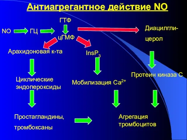 Антиагрегантное действие NO NO ГТФ цГМФ ГЦ Арахидоновая к-та Циклические эндопероксиды