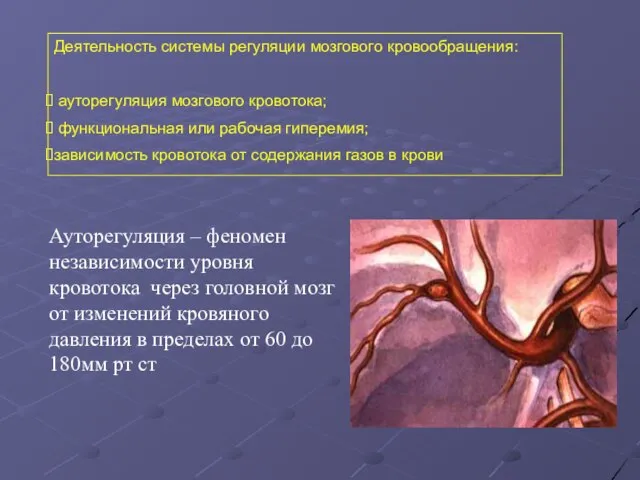 Деятельность системы регуляции мозгового кровообращения: ауторегуляция мозгового кровотока; функциональная или рабочая