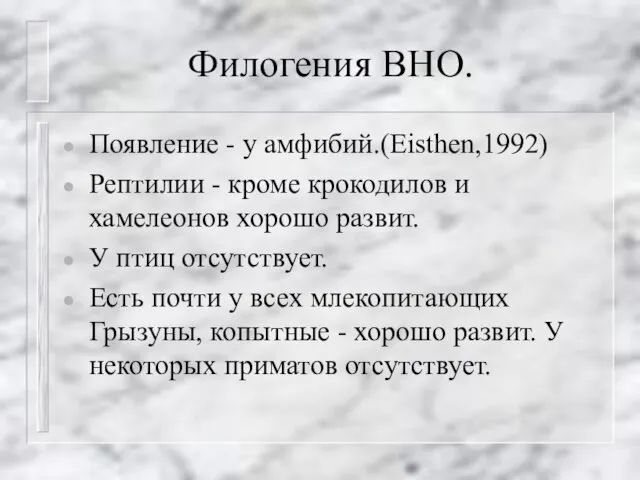 Филогения ВНО. Появление - у амфибий.(Eisthen,1992) Рептилии - кроме крокодилов и