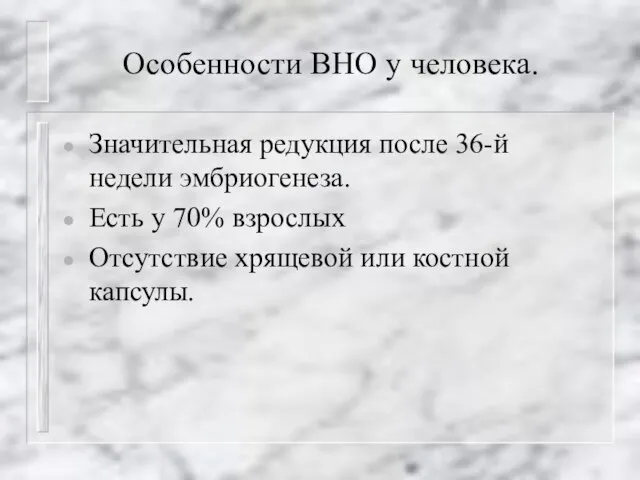 Особенности ВНО у человека. Значительная редукция после 36-й недели эмбриогенеза. Есть