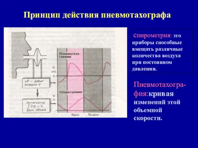 Принцип действия пневмотахографа спирометрия: это приборы способные вмещать различные количества воздуха