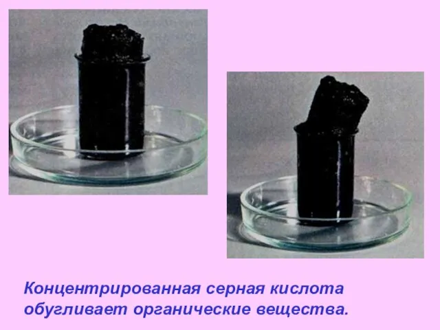 Концентрированная серная кислота обугливает органические вещества.