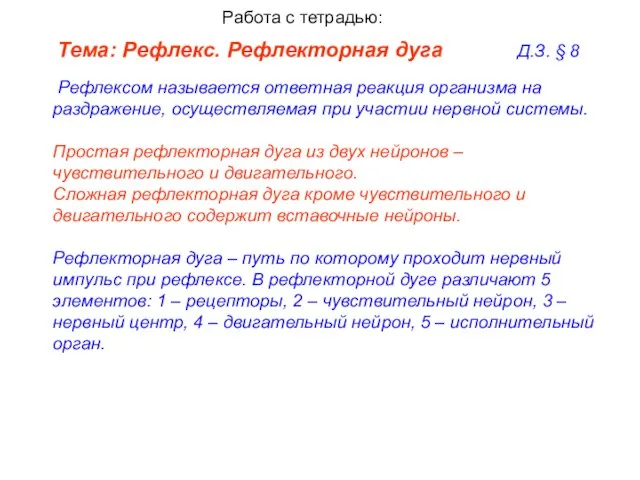 Тема: Рефлекс. Рефлекторная дуга Д.З. § 8 Рефлексом называется ответная реакция