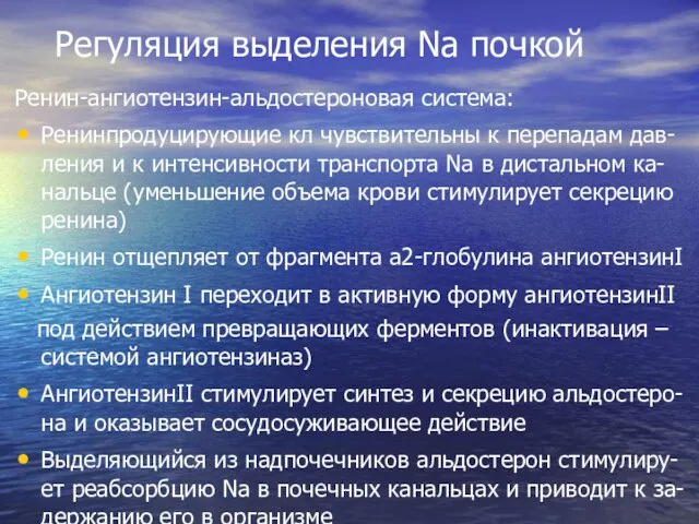 Регуляция выделения Na почкой Ренин-ангиотензин-альдостероновая система: Ренинпродуцирующие кл чувствительны к перепадам