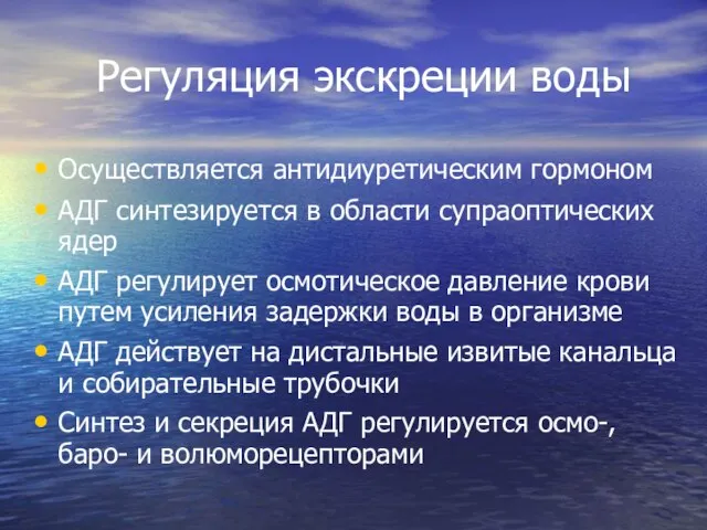 Регуляция экскреции воды Осуществляется антидиуретическим гормоном АДГ синтезируется в области супраоптических