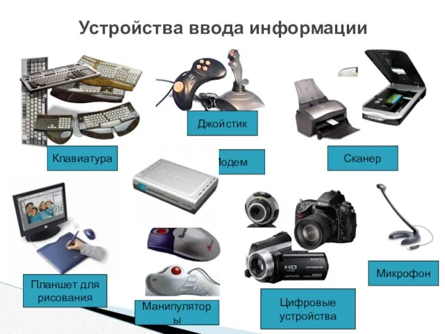 Сканер Клавиатура Джойстик Манипуляторы Устройства ввода информации Цифровые устройства Микрофон Модем Планшет для рисования