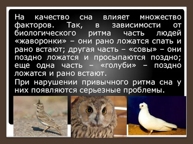 На качество сна влияет множество факторов. Так, в зависимости от биологического