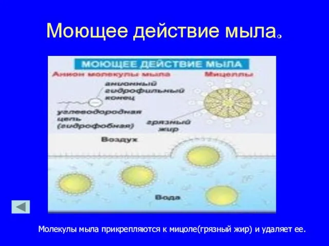 Моющее действие мыла. Молекулы мыла прикрепляются к мицоле(грязный жир) и удаляет ее.