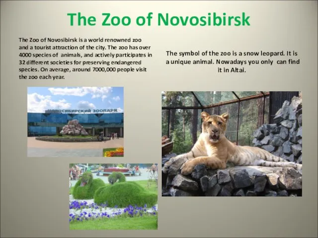 The Zoo of Novosibirsk The Zoo of Novosibirsk is a world