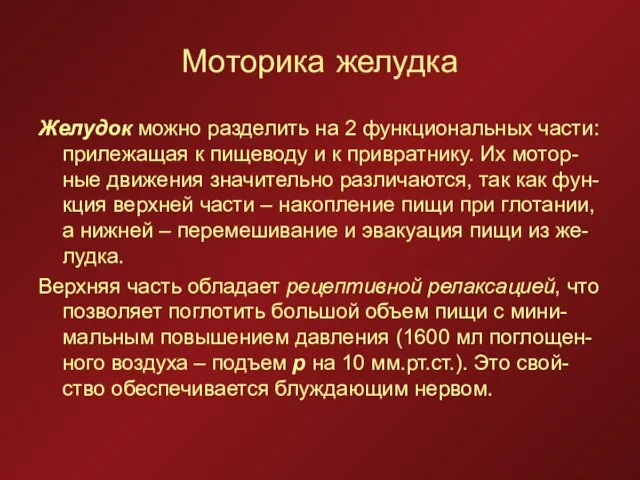 Моторика желудка Желудок можно разделить на 2 функциональных части: прилежащая к